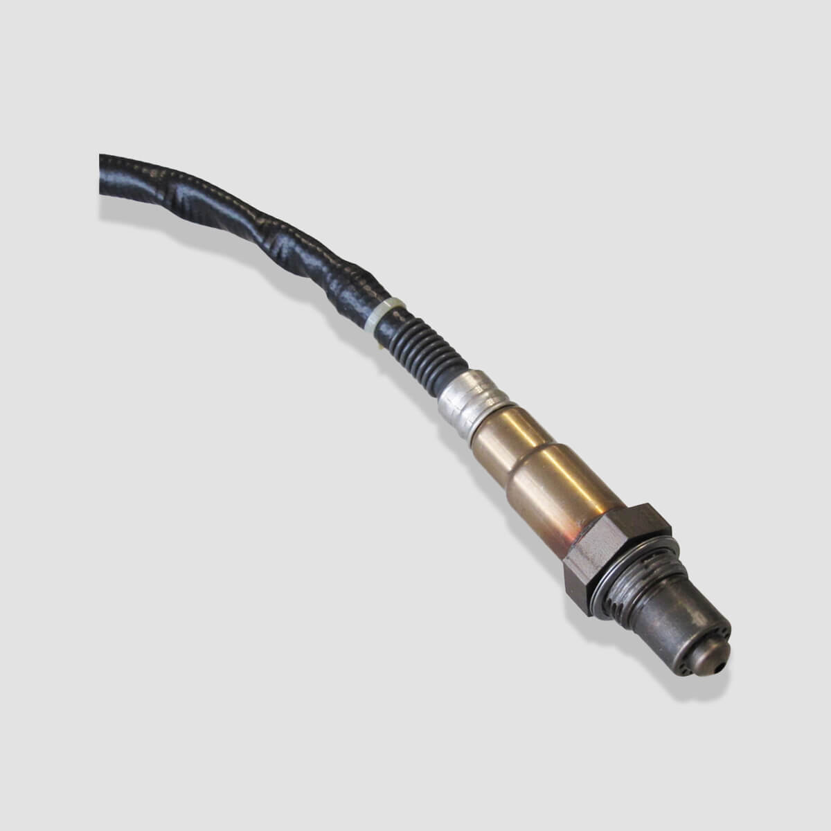 Porsche Motorsport mit Wendland